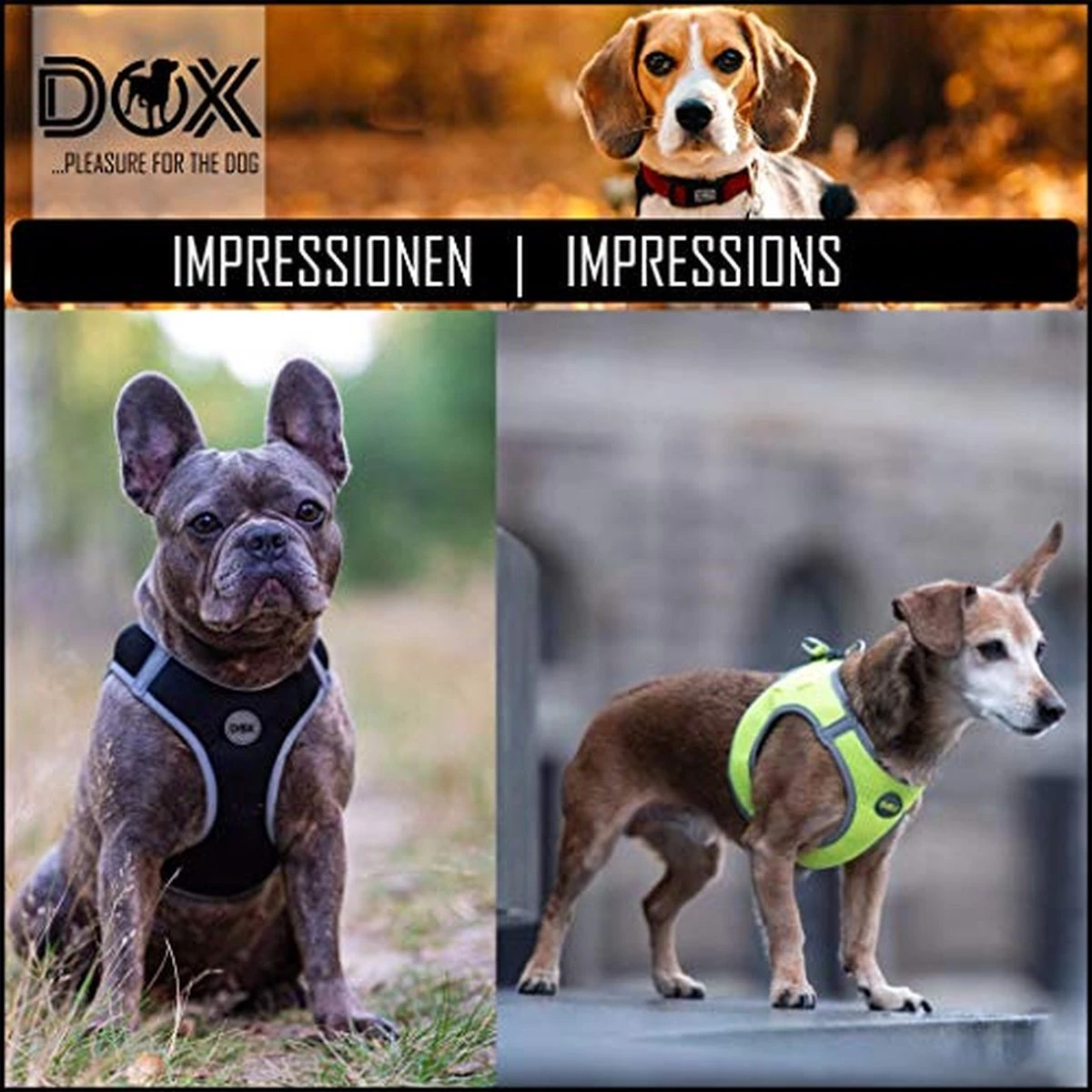 DDOXX Borstharnas Air Mesh, Step-In, Reflecterend | Vele Kleuren | Voor Kleine, Middelgrote En Middelgrote Honden | Hondenharnas Hond Kat Puppy | Kattenharnas Puppy Harnas | Zwart, M 17 DDOXX Borstharnas Air Mesh, Step-In, Reflecterend | Vele Kleuren | Voor Kleine, Middelgrote En Middelgrote Honden | Hondenharnas Hond Kat Puppy | Kattenharnas Puppy Harnas | Zwart, M - Afbeelding 15