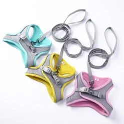 Hondentuigje Voor Kleine Puppy's & Kleine Honden - Blauw - Maat M -Hondenartikelen Serie Winkel 1200x1200 2157