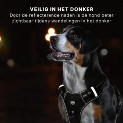Hondentuigje - Anti-Trek Tuig - Hondenharnas - Y Tuig Hond - Reflecterend - Zwart - Maat L 14 Hondentuigje - Anti-Trek Tuig - Hondenharnas - Y Tuig Hond - Reflecterend - Zwart - Maat L -Hondenartikelen Serie Winkel 1200x1200 2161