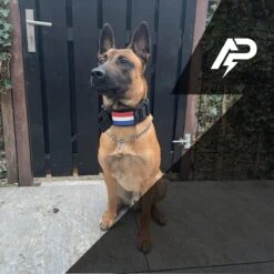 Always Prepared © Pro K9 Complete Set – Anti Trek Tuig – Honden Harnas – Y Tuig Hond – Trainings Riem – Best Getest 2022 – Halsband Hond – Middel En Grote Hond – Honden Tuigje – Harnas Hond – Veiligheidstuig – 450KG Anti Trek Test – Combi Deal -Hondenartikelen Serie Winkel 1200x1200 2165