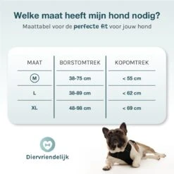 Hondentuigje Medium – Hondenharnas - Anti Trek Tuig Hond – Y Tuig – Reflecterend – Zwart – Maat M 14 Hondentuigje Medium – Hondenharnas - Anti Trek Tuig Hond – Y Tuig – Reflecterend – Zwart – Maat M -Hondenartikelen Serie Winkel 1200x1200 2170