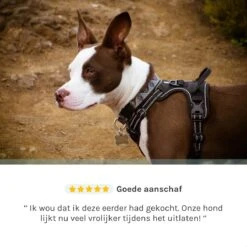 Hondentuigje Medium – Hondenharnas - Anti Trek Tuig Hond – Y Tuig – Reflecterend – Zwart – Maat M 16 Hondentuigje Medium – Hondenharnas - Anti Trek Tuig Hond – Y Tuig – Reflecterend – Zwart – Maat M -Hondenartikelen Serie Winkel 1200x1200 2172