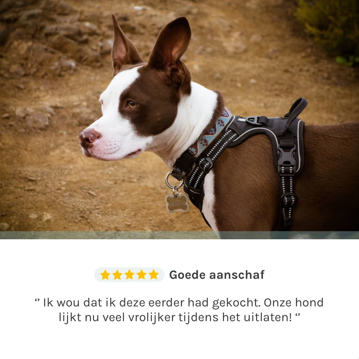 Hondentuigje Medium – Hondenharnas - Anti Trek Tuig Hond – Y Tuig – Reflecterend – Zwart – Maat M 9 Hondentuigje Medium – Hondenharnas - Anti Trek Tuig Hond – Y Tuig – Reflecterend – Zwart – Maat M - Afbeelding 7
