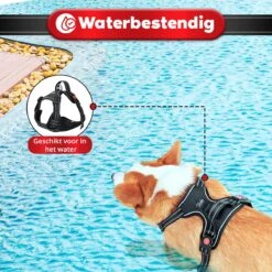 Purrr Fect Hondentuigje - Anti-Trek Tuig - Hondenharnas - Y Tuig Hond - Waterproof - Reflecterend - Verstelbaar - Maat L -Hondenartikelen Serie Winkel 1200x1200 2175