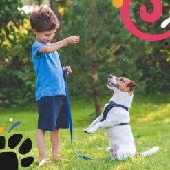 Hondentuig - Hondenharnas - Hondenriem - Anti Trek - Autogordel Hond - Zwart - Maat S -Hondenartikelen Serie Winkel 1200x1200 2179