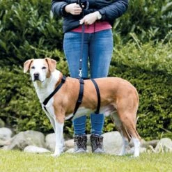 Trixie Stay Hondentuig Zwart Maat - S/M -Hondenartikelen Serie Winkel 1200x1200 2183