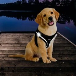 Topmast Airmesh Hondentuig - Click & Go - Turquoise - 3XS - Reflecterend - Harnas Hond - Hondentuigje - Hondenharnas - Voor Puppy, Kleine, Medium En Grote Hond -Hondenartikelen Serie Winkel 1200x1200 2186