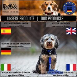 DDOXX Hondenharnas, Reflecterend, Verstelbaar, Breakaway | Borstharnas Voor Klein, Middelgroot | Hondenharnas Hond Kat Puppy Auto | Kattenharnas Puppy Harnas | Roze Roze, S 21 DDOXX Hondenharnas, Reflecterend, Verstelbaar, Breakaway | Borstharnas Voor Klein, Middelgroot | Hondenharnas Hond Kat Puppy Auto | Kattenharnas Puppy Harnas | Roze Roze, S -Hondenartikelen Serie Winkel 1200x1200 2200