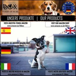 DDOXX Hondenharnas, Reflecterend, Verstelbaar, Breakaway | Borstharnas Voor Klein, Middelgroot | Hondenharnas Hond Kat Puppy Auto | Kattenharnas Puppy Harnas | Roze Roze, S 22 DDOXX Hondenharnas, Reflecterend, Verstelbaar, Breakaway | Borstharnas Voor Klein, Middelgroot | Hondenharnas Hond Kat Puppy Auto | Kattenharnas Puppy Harnas | Roze Roze, S -Hondenartikelen Serie Winkel 1200x1200 2201