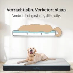 CozySense® - Orthopedisch Hondenkussen - Hondenkussen 60 X 40 Cm - Ook Geschikt Als Benchkussen & Hondenbed - Hondenkussen Bank - Traagschuim - Waterdicht - Wasbare Hoes - Maat S 12 CozySense® - Orthopedisch Hondenkussen - Hondenkussen 60 X 40 Cm - Ook Geschikt Als Benchkussen & Hondenbed - Hondenkussen Bank - Traagschuim - Waterdicht - Wasbare Hoes - Maat S -Hondenartikelen Serie Winkel 1200x1200 221
