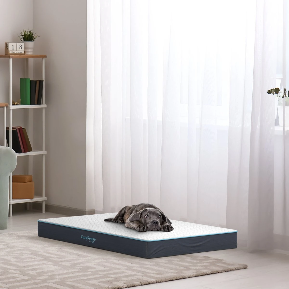 CozySense® - Orthopedisch Hondenkussen - Hondenkussen 60 X 40 Cm - Ook Geschikt Als Benchkussen & Hondenbed - Hondenkussen Bank - Traagschuim - Waterdicht - Wasbare Hoes - Maat S 8 CozySense® - Orthopedisch Hondenkussen - Hondenkussen 60 X 40 Cm - Ook Geschikt Als Benchkussen & Hondenbed - Hondenkussen Bank - Traagschuim - Waterdicht - Wasbare Hoes - Maat S - Afbeelding 6