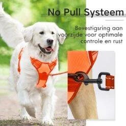 Sharon B - Hondentuigje - Voor Middelgrote Honden - Oranje - Maat M - No Pull - Anti Trek - Reflecterend - Hoeft Niet Over Het Hoofd Aangetrokken Te Worden -Hondenartikelen Serie Winkel 1200x1200 2241