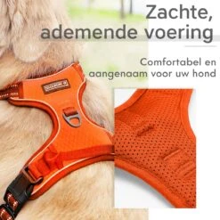 Sharon B - Hondentuigje - Voor Middelgrote Honden - Oranje - Maat M - No Pull - Anti Trek - Reflecterend - Hoeft Niet Over Het Hoofd Aangetrokken Te Worden -Hondenartikelen Serie Winkel 1200x1200 2242