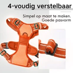 Sharon B - Hondentuigje - Voor Middelgrote Honden - Oranje - Maat M - No Pull - Anti Trek - Reflecterend - Hoeft Niet Over Het Hoofd Aangetrokken Te Worden -Hondenartikelen Serie Winkel 1200x1200 2243