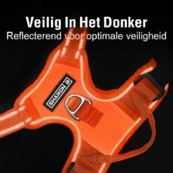 Sharon B - Hondentuigje - Voor Middelgrote Honden - Oranje - Maat M - No Pull - Anti Trek - Reflecterend - Hoeft Niet Over Het Hoofd Aangetrokken Te Worden -Hondenartikelen Serie Winkel 1200x1200 2244