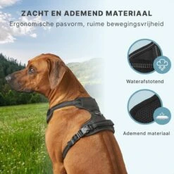 Hondentuigje - Anti-Trek Tuig - Hondenharnas - Y Tuig Hond - Reflecterend - Zwart - Maat S 12 Hondentuigje - Anti-Trek Tuig - Hondenharnas - Y Tuig Hond - Reflecterend - Zwart - Maat S -Hondenartikelen Serie Winkel 1200x1200 2253