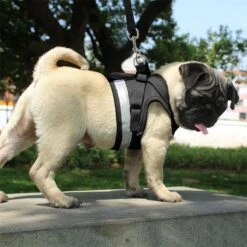 Hondentuig, Hondenharnas Met Hondenriem – Reflecterend - Zwart – Maat L (borst 40-45 Cm) 12 Hondentuig, Hondenharnas Met Hondenriem – Reflecterend - Zwart – Maat L (borst 40-45 Cm) -Hondenartikelen Serie Winkel 1200x1200 2259