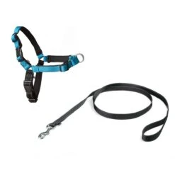 PetSafe Easy Walk® Deluxe Harness - Hondentuig - Blauw - L -1,8 M -Hondenartikelen Serie Winkel 1200x1200 2261