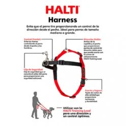 Company Of Animals Halti Harnass - Anti Trektuigje - Hond - Large - Borstomvang Boven De 80 Cm – Zwart 23 Company Of Animals Halti Harnass - Anti Trektuigje - Hond - Large - Borstomvang Boven De 80 Cm – Zwart -Hondenartikelen Serie Winkel 1200x1200 2262