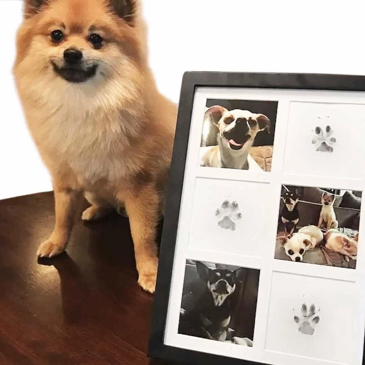 Merkloos Paw Print Pad - Pootafdruk Maken Van Hond Of Kat 4 Merkloos Paw Print Pad - Pootafdruk Maken Van Hond Of Kat - Afbeelding 3