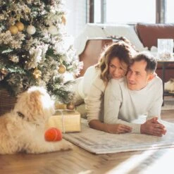 Good Experience Interactieve Hondenbal 3.0 – Honden Speelgoed Intelligentie – Puppy Speelgoed – Hondenspeeltjes – De Enige Die Werkt Met Afstandsbediening – De Veilige Bal Voor Jouw Hond – One Size – Oranje -Hondenartikelen Serie Winkel 1200x1200 2293