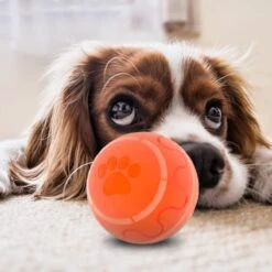 Good Experience Interactieve Hondenbal 3.0 – Honden Speelgoed Intelligentie – Puppy Speelgoed – Hondenspeeltjes – De Enige Die Werkt Met Afstandsbediening – De Veilige Bal Voor Jouw Hond – One Size – Oranje -Hondenartikelen Serie Winkel 1200x1200 2295