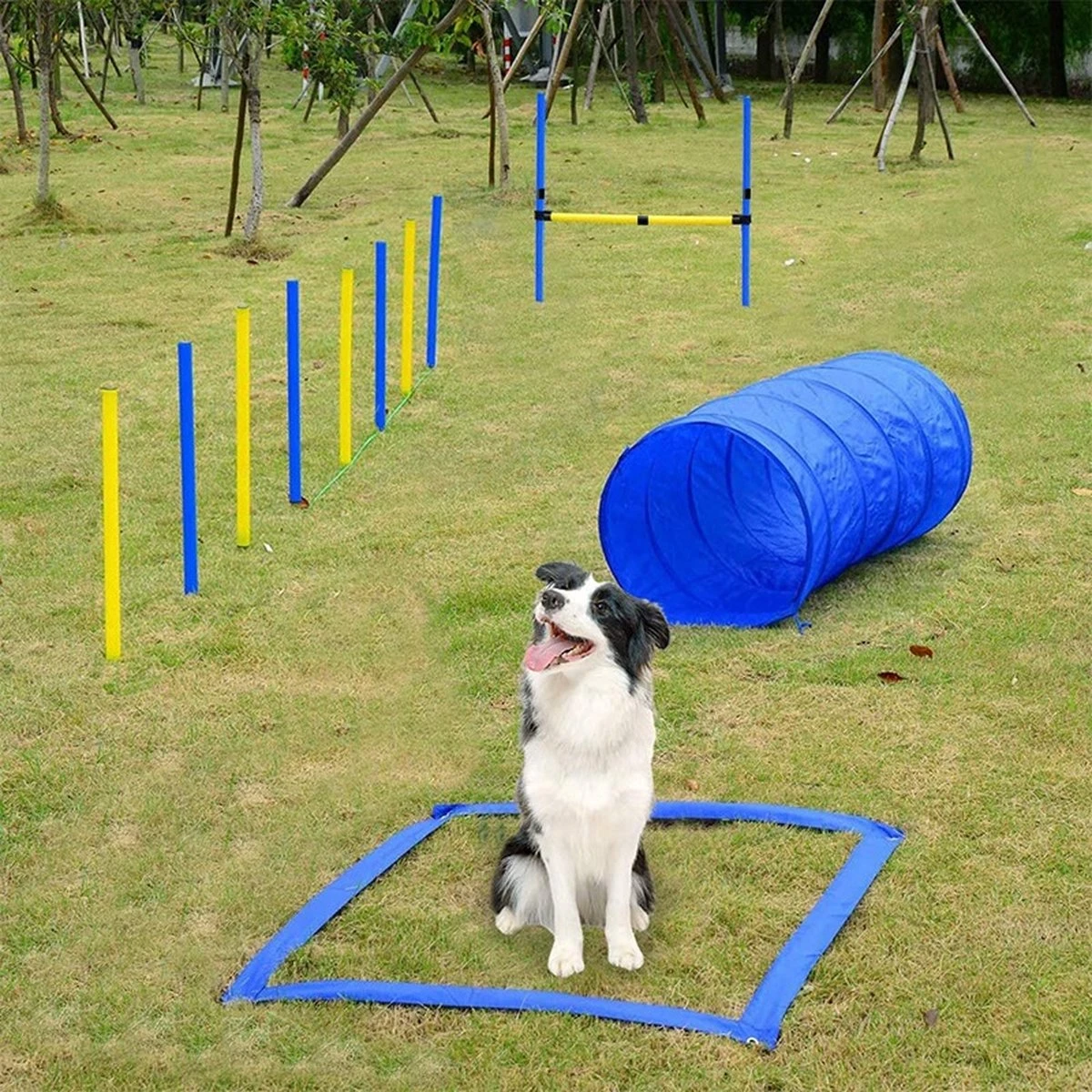 Agility Voor De Hond - 16 Delig - Agility Set - Hondentunnel - Horde - Slalom Palen - Honden Training Set - Honden Behendigheidsset - Agility Toestellen 7 Agility Voor De Hond - 16 Delig - Agility Set - Hondentunnel - Horde - Slalom Palen - Honden Training Set - Honden Behendigheidsset - Agility Toestellen - Afbeelding 5