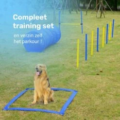 Agility Voor De Hond - 16 Delig - Agility Set - Hondentunnel - Horde - Slalom Palen - Honden Training Set - Honden Behendigheidsset - Agility Toestellen 23 Agility Voor De Hond - 16 Delig - Agility Set - Hondentunnel - Horde - Slalom Palen - Honden Training Set - Honden Behendigheidsset - Agility Toestellen -Hondenartikelen Serie Winkel 1200x1200 2300