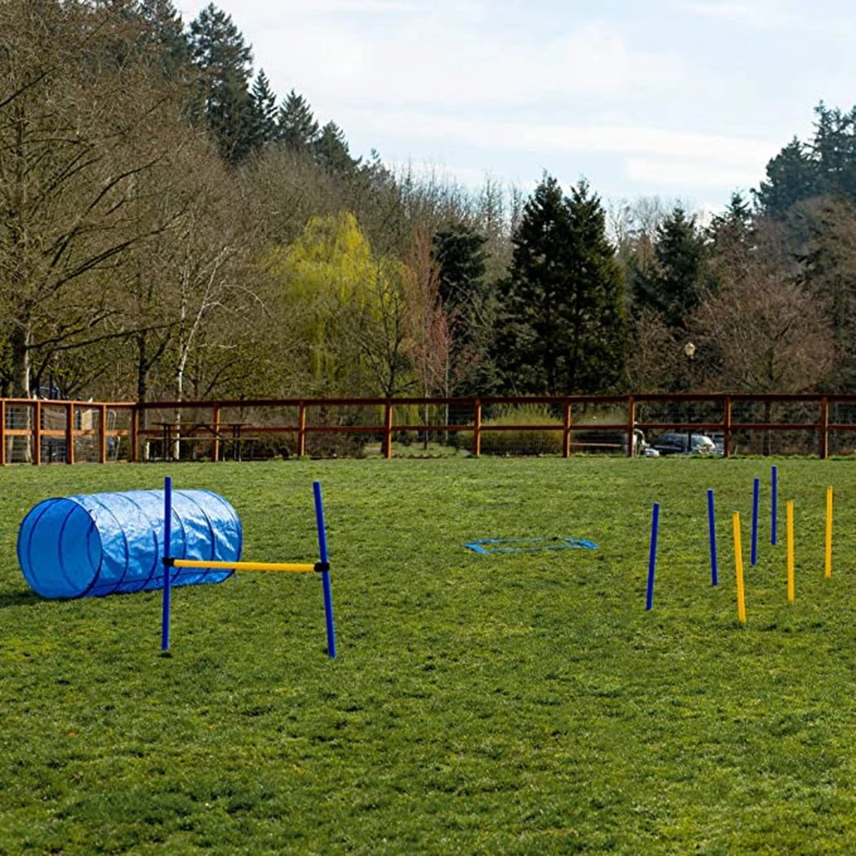 Agility Voor De Hond - 16 Delig - Agility Set - Hondentunnel - Horde - Slalom Palen - Honden Training Set - Honden Behendigheidsset - Agility Toestellen 13 Agility Voor De Hond - 16 Delig - Agility Set - Hondentunnel - Horde - Slalom Palen - Honden Training Set - Honden Behendigheidsset - Agility Toestellen - Afbeelding 11