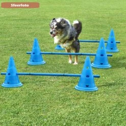 Agility Voor De Hond - Honden Training - Dog Activity - Behendigheid Hond - Parcours 12 Agility Voor De Hond - Honden Training - Dog Activity - Behendigheid Hond - Parcours -Hondenartikelen Serie Winkel 1200x1200 2303