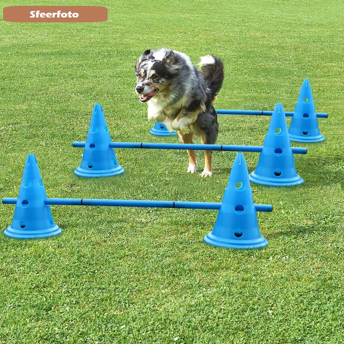 Agility Voor De Hond - Honden Training - Dog Activity - Behendigheid Hond - Parcours 6 Agility Voor De Hond - Honden Training - Dog Activity - Behendigheid Hond - Parcours - Afbeelding 4