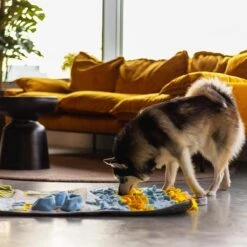 Snuffies Snuffelmat Jara 100x65cm - Snuffelmat – Snuffelmatten - Honden Speelgoed - Honden Speelgoed Intelligentie – Snuffelmat - Snuffelmat Hond - Snuffelmatten – Hersenwerk – Honden Speeltjes – Puppy - Puppy Speelgoed - Honden Denkspelletjes -Hondenartikelen Serie Winkel 1200x1200 2305