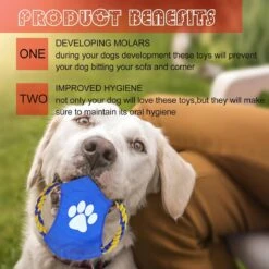 Nobleza Honden Speelgoed Set PLJ - 10 Stuks -Hondenartikelen Serie Winkel 1200x1200 2319