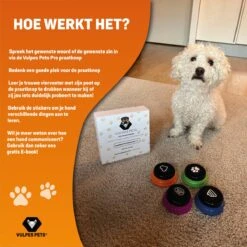 Vulpes Pets® PRO Praatknop Voor Honden Met Speelmat - Dogbuttons - Laat Uw Huisdier Spreken - Hondenspeelgoed - Honden Training - Inclusief E-Book En Speelmat -Hondenartikelen Serie Winkel 1200x1200 2338