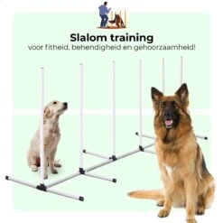 AYOO Agility Voor De Hond - Honden Training - Honden Behendigheid Set - Hondenparcours - Training Huisdieren - Honden Agility Set - Slalom - Horde - Draagzak - Agility Set - Oranje - Wit - GRATIS Speeltouw 15 AYOO Agility Voor De Hond - Honden Training - Honden Behendigheid Set - Hondenparcours - Training Huisdieren - Honden Agility Set - Slalom - Horde - Draagzak - Agility Set - Oranje - Wit - GRATIS Speeltouw -Hondenartikelen Serie Winkel 1200x1200 2364