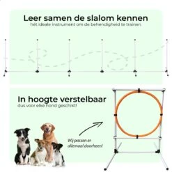 AYOO Agility Voor De Hond - Honden Training - Honden Behendigheid Set - Hondenparcours - Training Huisdieren - Honden Agility Set - Slalom - Horde - Draagzak - Agility Set - Oranje - Wit - GRATIS Speeltouw 17 AYOO Agility Voor De Hond - Honden Training - Honden Behendigheid Set - Hondenparcours - Training Huisdieren - Honden Agility Set - Slalom - Horde - Draagzak - Agility Set - Oranje - Wit - GRATIS Speeltouw -Hondenartikelen Serie Winkel 1200x1200 2366