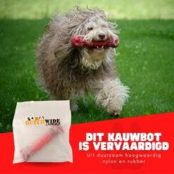 Kauwbot Hond Extra Sterk Kauwspeelgoed Melk Geur Smaak Honden Speelgoed - Rood Wit - Dutchwide -Hondenartikelen Serie Winkel 1200x1200 2384