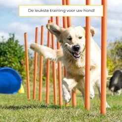 AYOO Agility Voor De Hond - Honden Agility Set - Honden Training - Honden Behendigheid Set - Honden Parcours - Training Huisdieren - Tunnel - Slalom - Horde - Draagzak - 21 Delig - GRATIS Speeltouw -Hondenartikelen Serie Winkel 1200x1200 2388