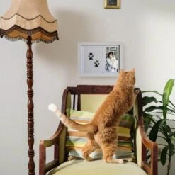 NOVOB® Fotolijst Met Inktafdruk - Pootafdruk Hond - Contactloos - Paw Print - Hondenspeelgoed - Afdruk Huisdier - Cadeau - 23.5 X 29 Cm | Wit -Hondenartikelen Serie Winkel 1200x1200 2398