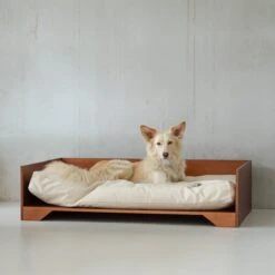 STUDIO ANIMAUX Hondenmand Met Katoenen Kussen (maat L) | 119 X 76,5 Cm | Hondenbed | Hondensofa | Hondenbank | Hout | Bruin -Hondenartikelen Serie Winkel 1200x1200 240