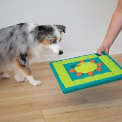 Nina Ottosson Interactieve Hondenpuzzel Vulbaar Met Snacks Voor De Slimste Honden - Outward Hound Multipuzzle 20 Nina Ottosson Interactieve Hondenpuzzel Vulbaar Met Snacks Voor De Slimste Honden - Outward Hound Multipuzzle -Hondenartikelen Serie Winkel 1200x1200 2401