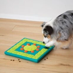 Nina Ottosson Interactieve Hondenpuzzel Vulbaar Met Snacks Voor De Slimste Honden - Outward Hound Multipuzzle 24 Nina Ottosson Interactieve Hondenpuzzel Vulbaar Met Snacks Voor De Slimste Honden - Outward Hound Multipuzzle -Hondenartikelen Serie Winkel 1200x1200 2404