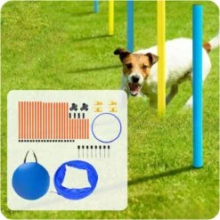 Tavaro Agility Voor De Hond - Honden Training - Hondentunnel - Springhoepel - Horde - Slalom - Honden Behendigheid Trainingsset -Hondenartikelen Serie Winkel 1200x1200 2416