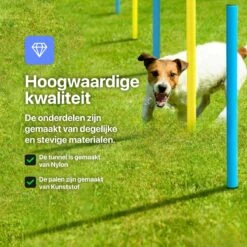 Tavaro Agility Voor De Hond - Honden Training - Hondentunnel - Springhoepel - Horde - Slalom - Honden Behendigheid Trainingsset -Hondenartikelen Serie Winkel 1200x1200 2417