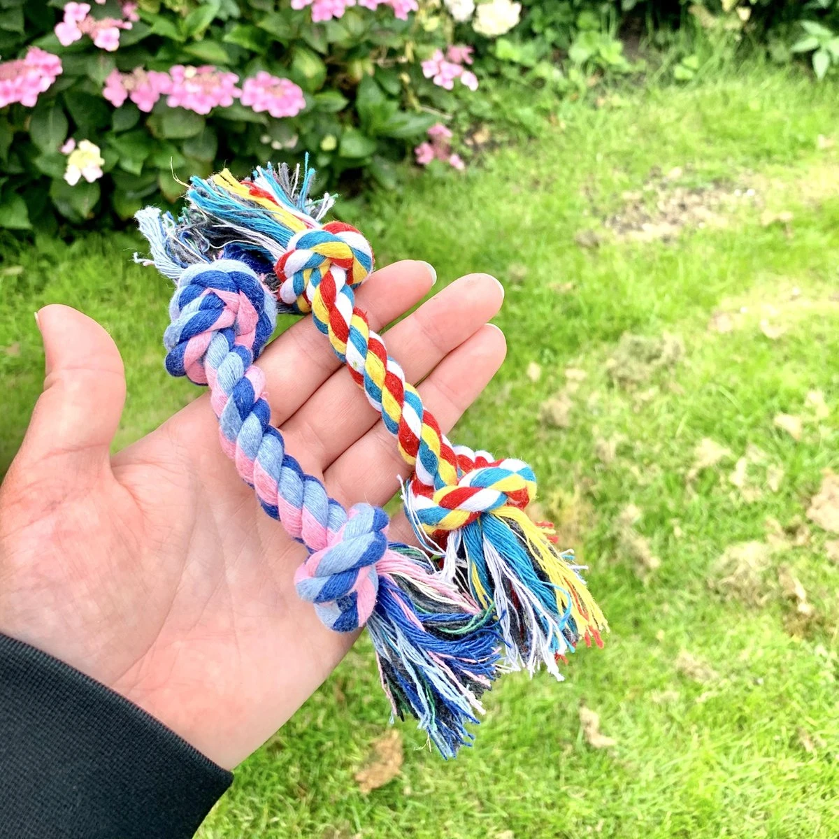 Flostouw Hond - Puppy - 18cm - Hondenspeelgoed - Mini - 2 Knopen - 23gram - Mini - Roze/Blauw 4 Flostouw Hond - Puppy - 18cm - Hondenspeelgoed - Mini - 2 Knopen - 23gram - Mini - Roze/Blauw - Afbeelding 2