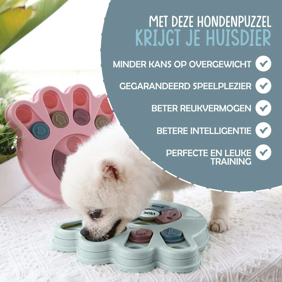VEDIC® - Hondenpuzzel Hondenpoot Blauw - Intelligentiespeelgoed - Verschuifbare Verstopplekken - 23x23cm 4 VEDIC® - Hondenpuzzel Hondenpoot Blauw - Intelligentiespeelgoed - Verschuifbare Verstopplekken - 23x23cm - Afbeelding 2