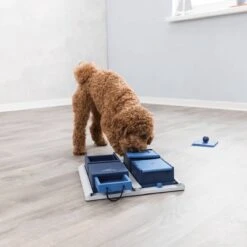 Trixie Dog Activity Poker Box 1 - 31X31 CM -Hondenartikelen Serie Winkel 1200x1200 2444
