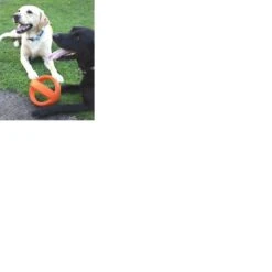 Happy Pet Grubber Interactieve Voetbal Blauw (18X18X18 CM) -Hondenartikelen Serie Winkel 1200x1200 2453