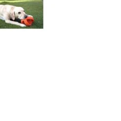 Happy Pet Grubber Interactieve Voetbal Blauw (18X18X18 CM) -Hondenartikelen Serie Winkel 1200x1200 2454