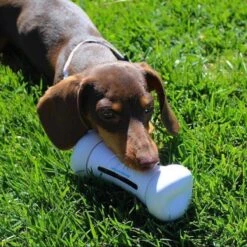 Cheerble Wickedbone|Automatisch Hondenspeeltje|Interactief En Intelligent Speelgoed Voor Honden|App & Bluetooth Bestuurbaar|USB Oplaadbaar -Hondenartikelen Serie Winkel 1200x1200 2463